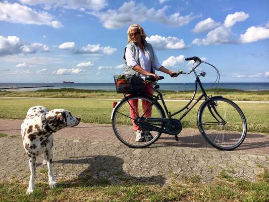 156. Fotochallenge *** DEIN HUND UND DIE WUNDERSCHÖNEN WOLKEN ***-Beitrag-Bild