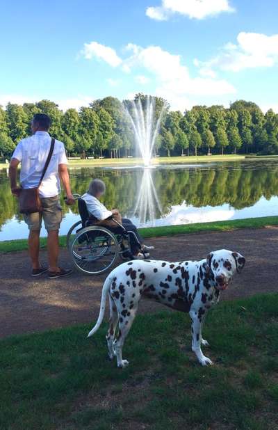 59. Handy Foto Challenge: Mein Hund und das springende Wasser-Beitrag-Bild