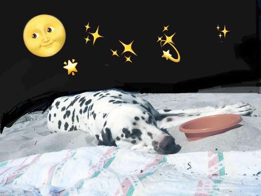 Photoshop und Co.-Beitrag-Bild