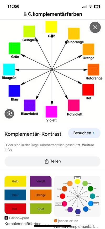 33.Farben Challenge: 
Thema Herbstfarben-Beitrag-Bild