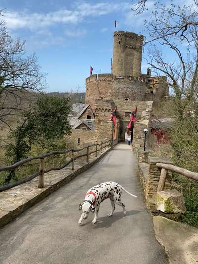 Foto Challenge Thema "Brücke"-Beitrag-Bild