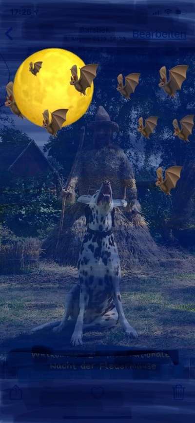 Fotochallange Nr.53 "HALLOWEEN"-Beitrag-Bild