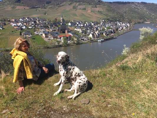 Dogorama Photo Challenge - schönster Gassiausblick-Beitrag-Bild