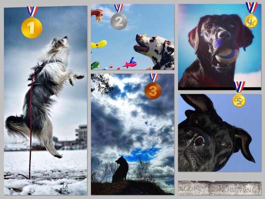 118. Fotochallange-Beitrag-Bild