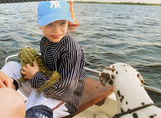 Unsere Fellnasen im Regenbogenland-Beitrag-Bild