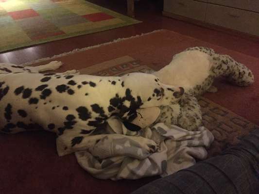 15. Handyfoto Challenge - Indoor Aktivitäten-Beitrag-Bild