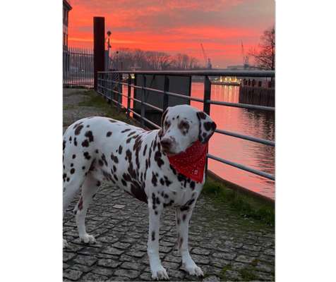 18. Farben Fotochallenge: Sonnenuntergang-Beitrag-Bild