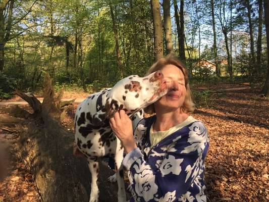 Dogorama Photo Challenge - Liebesbeweis-Beitrag-Bild