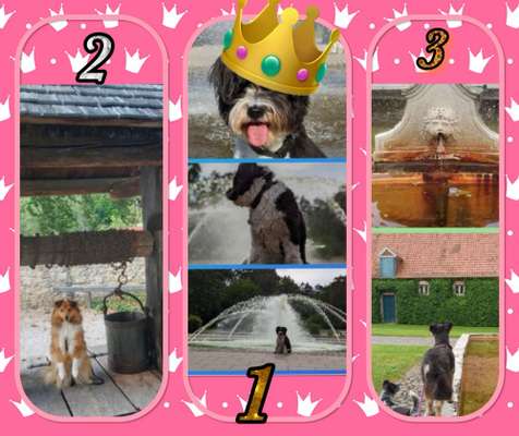 57. Foto Collage Challenge
Brunnen-Beitrag-Bild