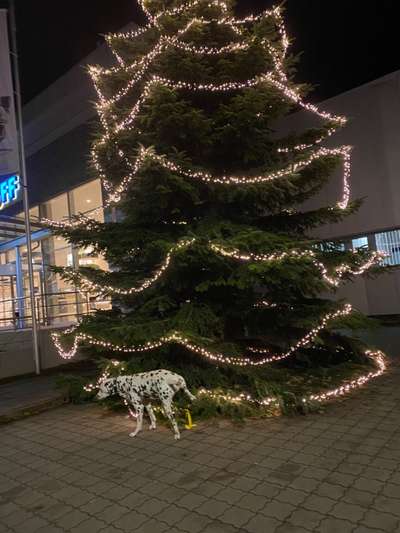 Fotochallenge 113: Auf frsicher Tat ertappt-Beitrag-Bild