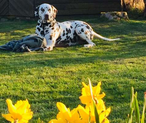 Fotochallenge Nr. 126-Beitrag-Bild