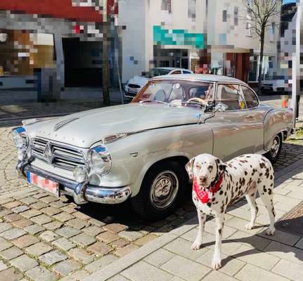 41. Handy Fotochallenge - Euer gemeinsames Hobby-Beitrag-Bild