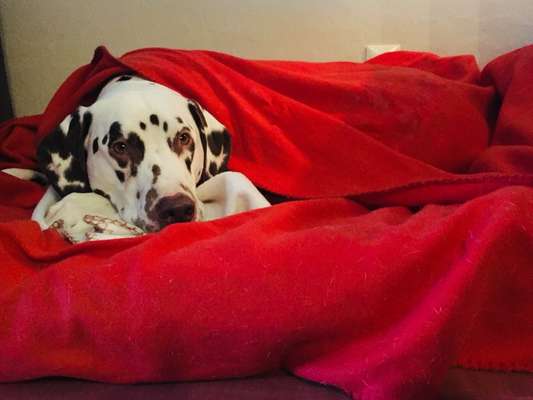 80. Foto  Challenge - Versteckt/ in einer Höhle-Beitrag-Bild