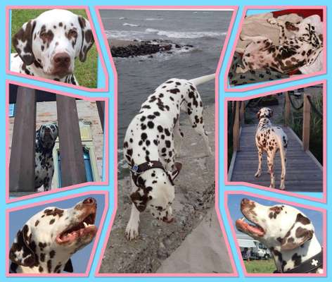 53. Collage Challenge - Verschiedene Blickwinkel-Beitrag-Bild