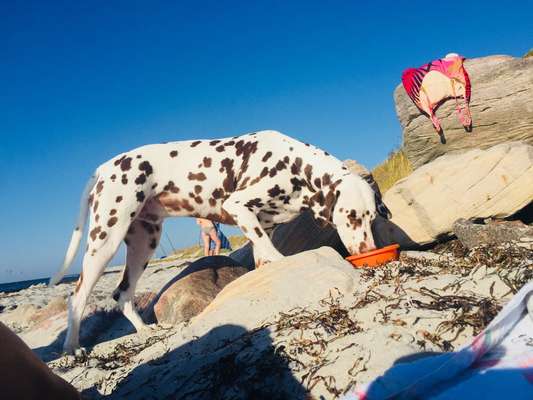 28. Farben Foto Challenge * BEIGE *-Beitrag-Bild