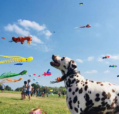 Fotochallenge Nr.105  Glücksmomente-Beitrag-Bild