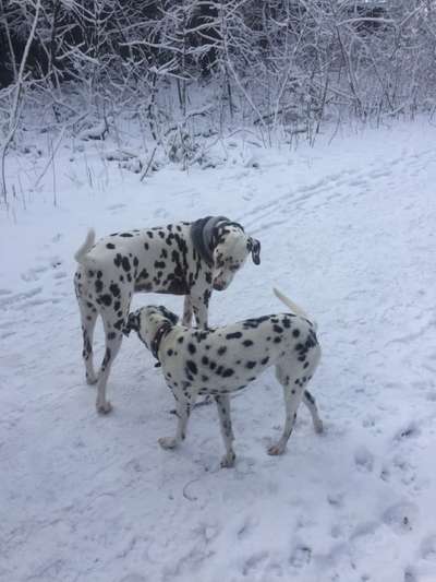 Handyfoto Challange  - Winter,Schnee-Beitrag-Bild