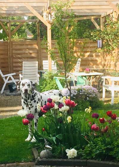 Fotochallenge 78

Es grünt und blüht-Beitrag-Bild