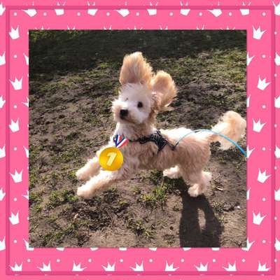 Kurzgeschichten-Challenge Nr. 18-Beitrag-Bild