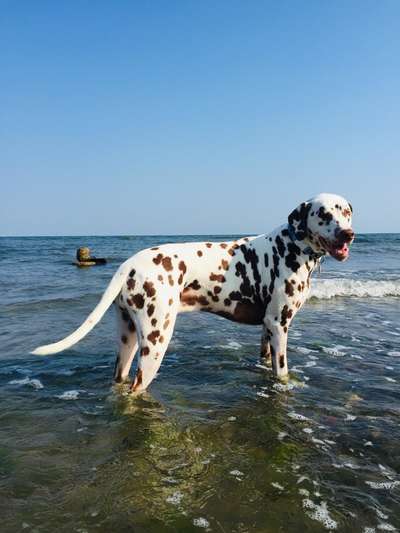 FOTOCHALLANGE NR.71 BADEFREUDE-Beitrag-Bild