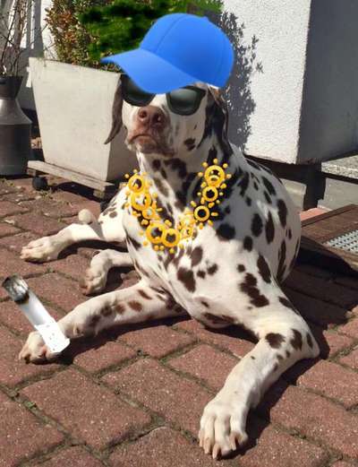 Pullis, Jacken, Hütte und alles sonstiges-Beitrag-Bild