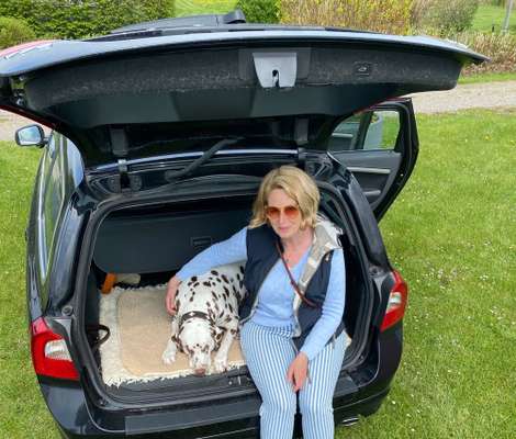 117. Fotochallenge-Beitrag-Bild