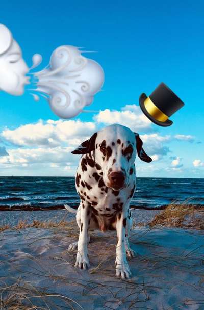 Fotochallenge Nr 50 Vom Winde verweht-Beitrag-Bild