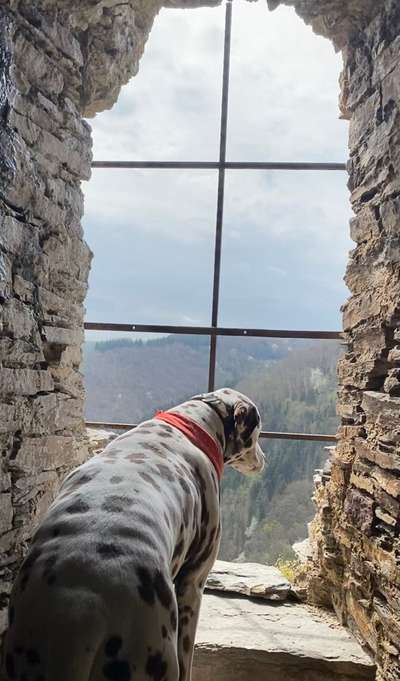 120. Fotochallenge-Beitrag-Bild