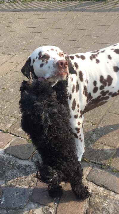 Foto Challenge Nr.: 115-Beitrag-Bild