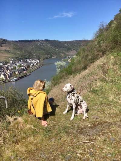 64. Handy Foto Challenge - Hoch hinaus-Beitrag-Bild