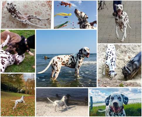 22. Collagen Challenge- Lebensfreude-Beitrag-Bild