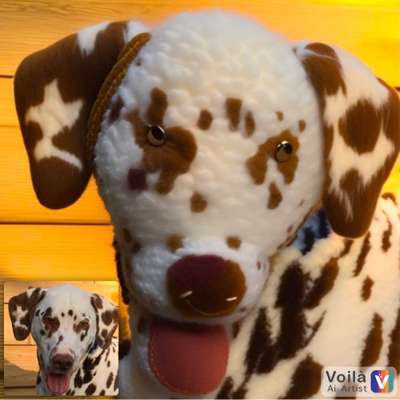 Voila app Bilder-Beitrag-Bild