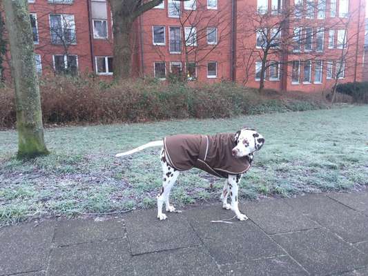 Pullis, Jacken, Hütte und alles sonstiges-Beitrag-Bild