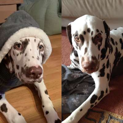 Doppelgänger gesucht !-Beitrag-Bild