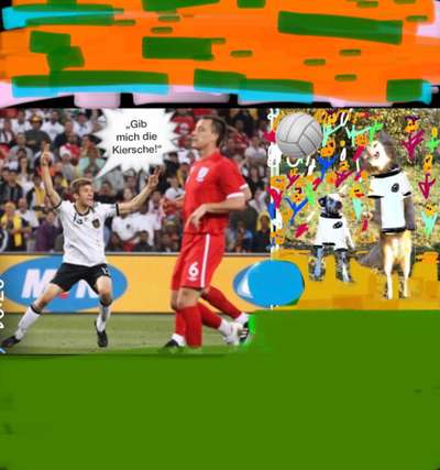 Photomontagen mit Hund-Beitrag-Bild