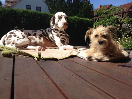 Doppelgänger gesucht !-Beitrag-Bild