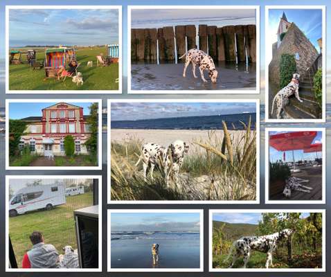 45. Collage Challenge - Lieblingsurlaubs/ Ausflugsziele-Beitrag-Bild