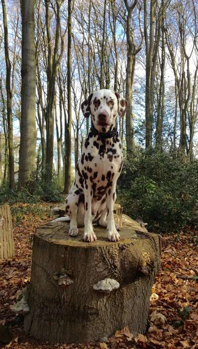 27. Handy Fotochallenge-Beitrag-Bild