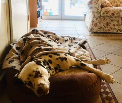 Foto Challenge Nr. 134-Beitrag-Bild