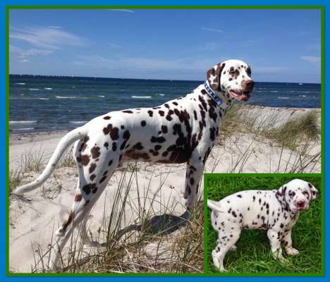 28. Handy-Fotochallenge - Damals und heute-Beitrag-Bild