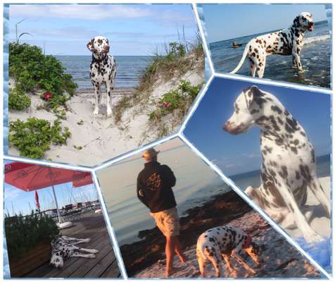 Zeigt eure schönsten Sommerbilder-Beitrag-Bild