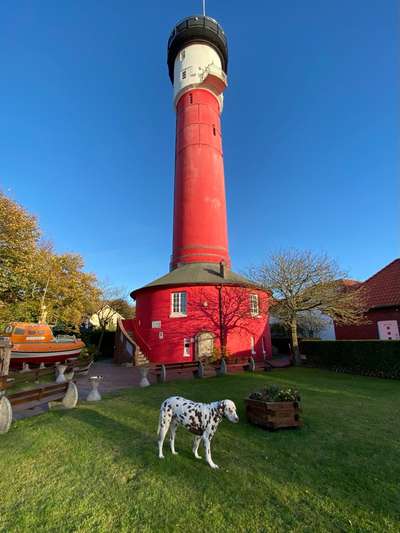 Dogorama Photo Challenge - Türme-Beitrag-Bild