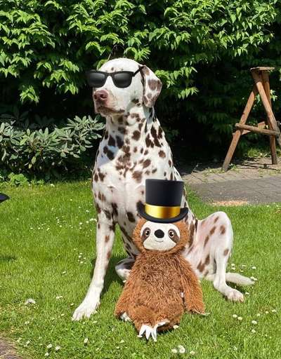 Moviestar-Pics!-Beitrag-Bild