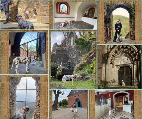 58. Foto Collagen Challenge: Torbögen-Beitrag-Bild