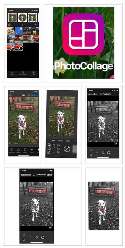 6. Farben Foto Challenge: "ColourKey Effekt"-Beitrag-Bild