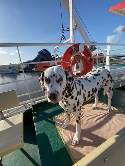 Fotochallenge 101:
On Tour-Beitrag-Bild