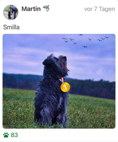 FOTOCHALLENGE 86-Beitrag-Bild