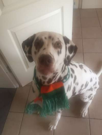 Pullis, Jacken, Hütte und alles sonstiges-Beitrag-Bild