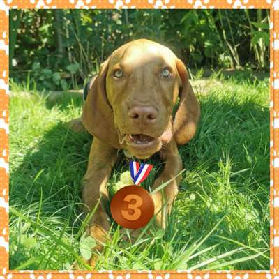 Kurzgeschichten-Challenge Nr. 18-Beitrag-Bild