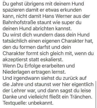 Hund im Garten - Eure Meinungen-Beitrag-Bild